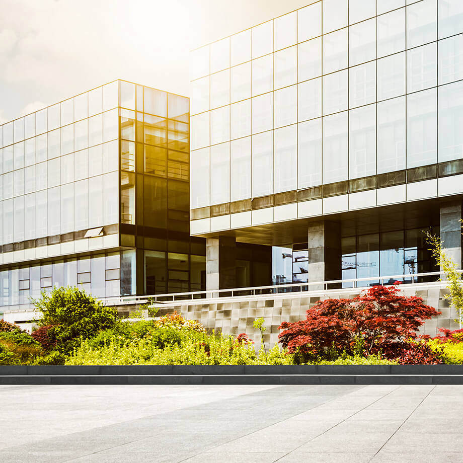 Modern commercial building with a facade of reflective glass, surrounded by lush greenery and red-leafed bushes, under a sunny sky with a concrete foreground.