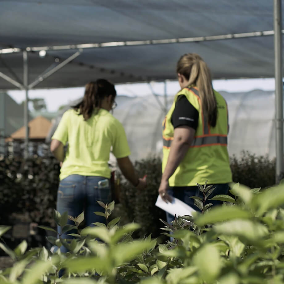 Two landscapers in high-visibility vests, one holding a clipboard, are conversing while walking through a nursery with a variety of young plants and covered greenhouses in the background.